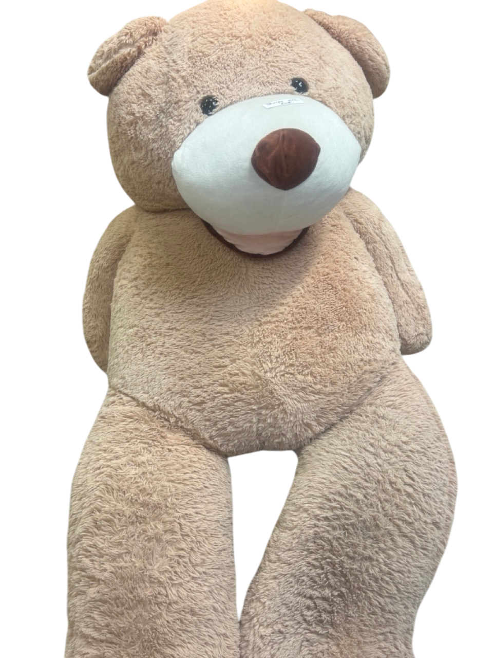 Ours en peluche géant