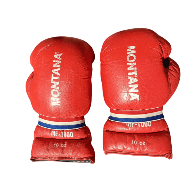 Gants de boxe Montana MF-1000