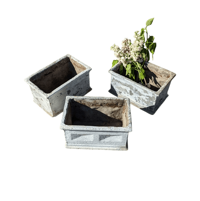 Jardinières en ciment vintage