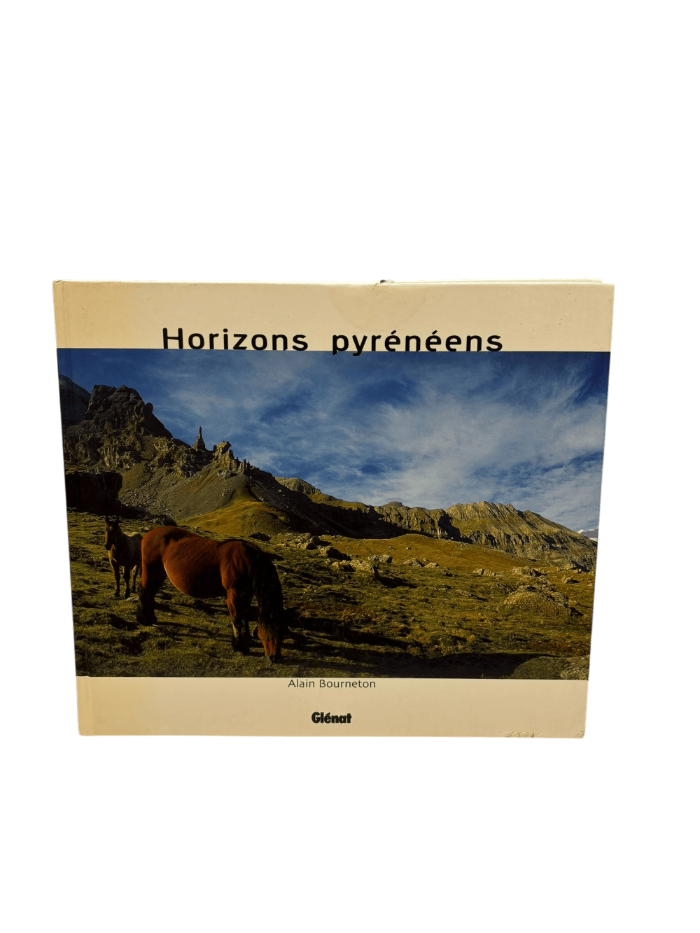 Livre Horizons pyrénéens